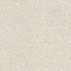 Vives Portofino Crema 120x120 / Вивес Портофино Крема 120x120 